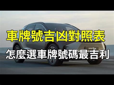 車牌兇吉